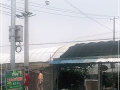 -马陆小张葡萄园农家乐