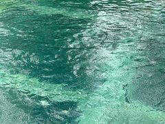 -花水湾第一村温泉大酒店