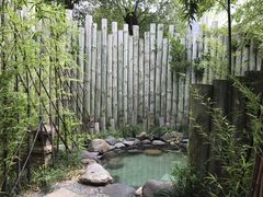 -金凤凰温泉度假村·凤凰汇中餐厅