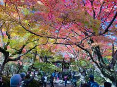-常寂光寺