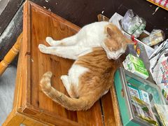 -黄龙溪古镇