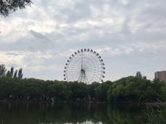 -青城公园