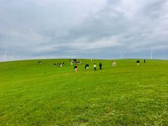 -莫日格勒旅游景区