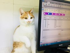 -芭比堂动物医院广州顽皮分院