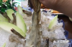 Sea Shrimp Sashimi
