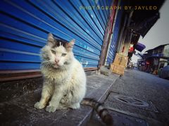 -嵊州特色小吃(萧山街店)