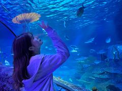 -沈阳海洋探索中心