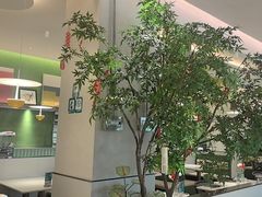 -Aqua Oasis 水天堂(太湖中心mall店)