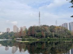 -重庆彩云湖湿地公园