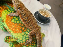 -FAIRYLAND龙族星球主题餐厅(凯丹广场店)