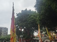 -荔湾湖公园