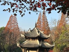 -习家池