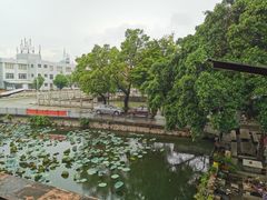 -烟桥私房菜馆(奋哥)