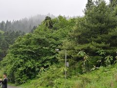 -武陵山森林公园