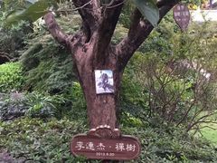 -太极禅苑