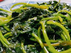清炒苕尖-大隐隐于市私房菜(保和小区店)