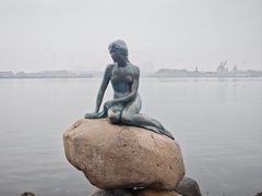 -美人鱼