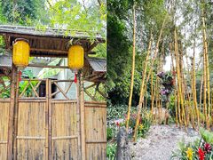 -广州兰圃