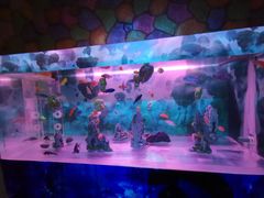 -梦幻海洋王国(吾悦广场张家港店)