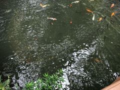 -香港大学