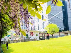 -硅谷蒙学幼儿园