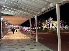 -轻井泽王子购物广场