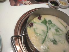 -洪氏嗨捞·猪肚鸡火锅(阳光天地店)