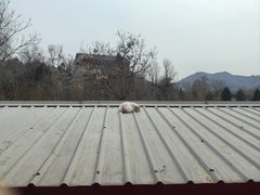 -韵之源农家菜(北京1店)