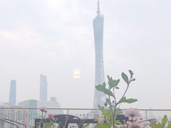 -小茶闲舍·观景商务茶馆(广州塔店)