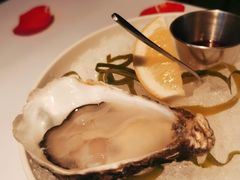 吉拉多生蚝-壳里西餐厅Coquille Seafood Bistro(蒙自路店)