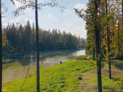 -黄海国家森林公园