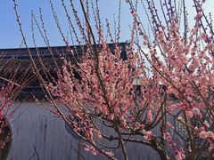 -雨花胜境