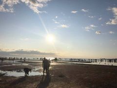 -东戴河风景区-止锚湾