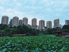 -龙头寺公园