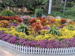 -大兴滨河森林公园