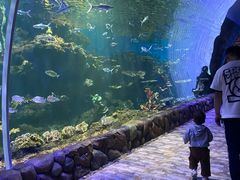 -华夏文旅海洋公园