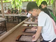 -大象粑粑造纸公园