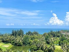 -海南清水湾莱佛士酒店