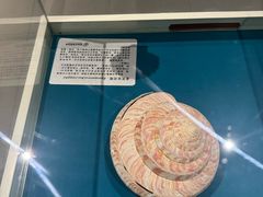 -青岛贝壳博物馆