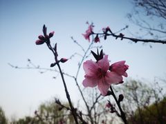 -杭州城北体育公园