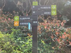 -龙泉洞(沙坪坝区)
