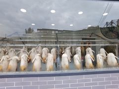 -粥旺庄(芳村店)
