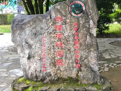 -龙水峡地缝景区