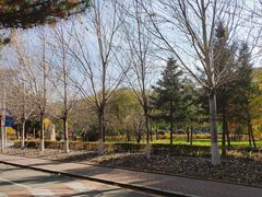 -吉林大学(南岭校区)