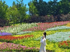 -沈阳植物园