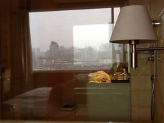 日航饭店-无锡日航饭店