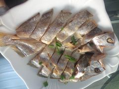 -阳光海鲜大排档