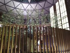 -上海滴水湖皇冠假日酒店