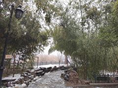 -济南大明湖景区