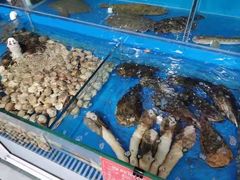 -顶之鲜海鲜餐厅